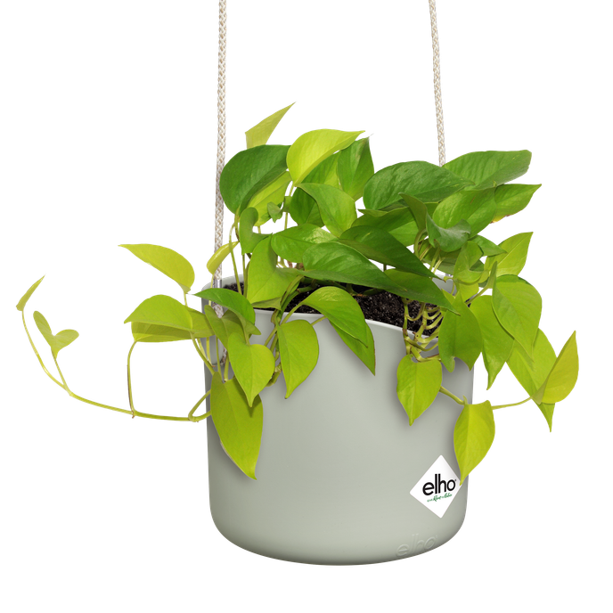 b.for swing 18cm stone green